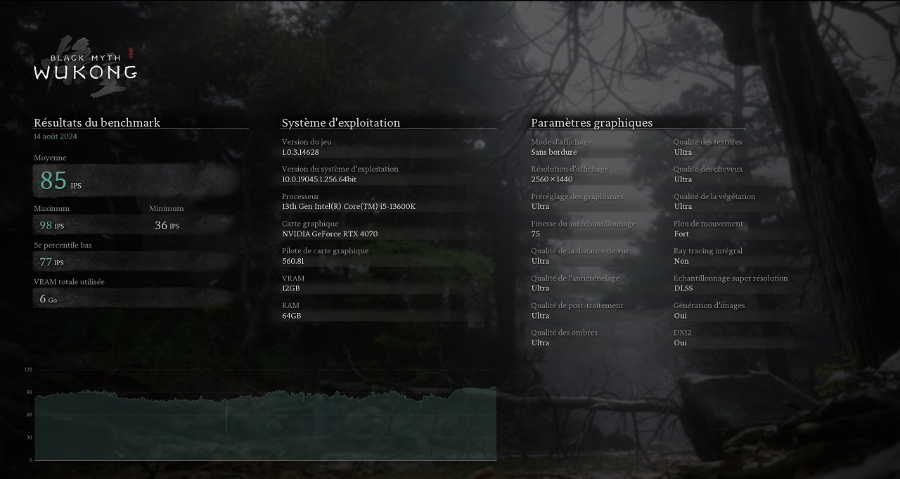 L'outil Benchmark de Black Myth Wukong vous donne un récapitulatif des performances de votre PC
