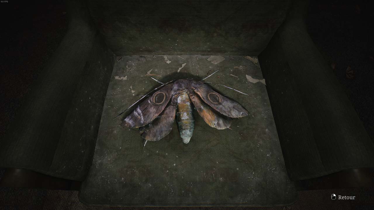 énigme des papillons dans silent hill 2