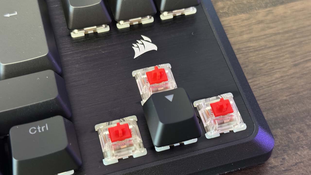 Switches MLX Red V2 du clavier Corsair K70 CORE TKL